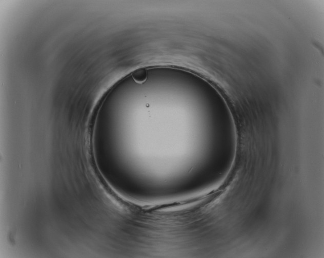 X0000096391517200801311310
