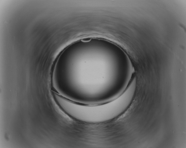 X0000096391518200801311310