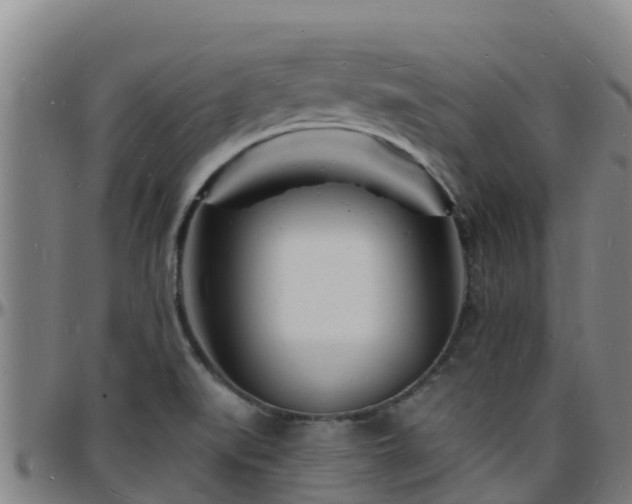 X0000096391519200801311310