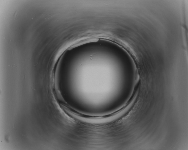 X0000096391520200801311310