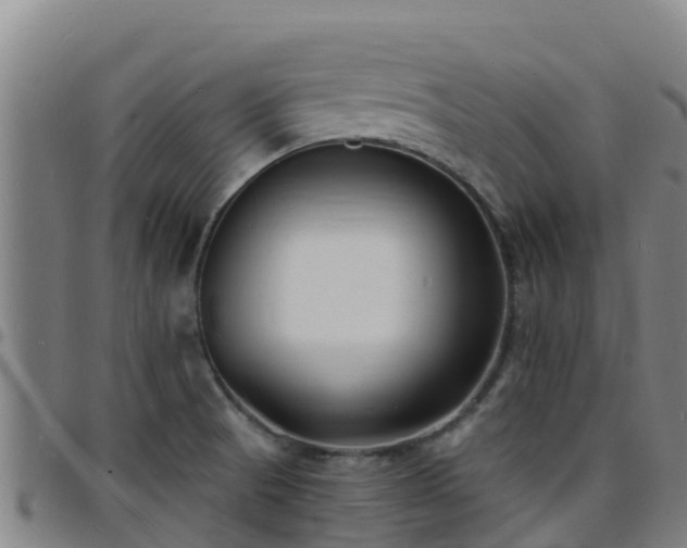 X0000096391521200801311310