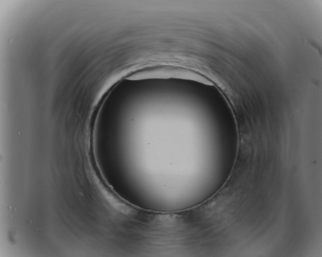 X0000096391523200801311310