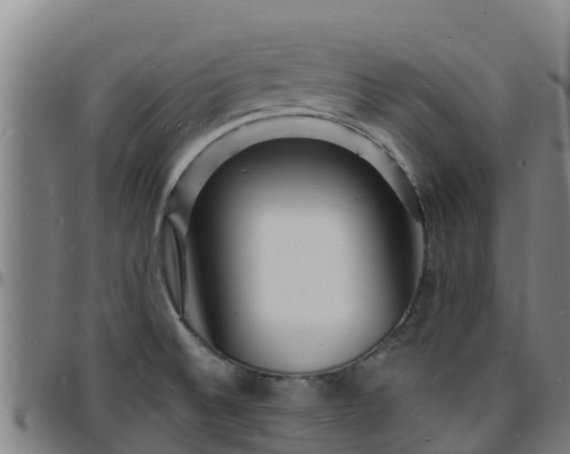X0000096391524200801311310