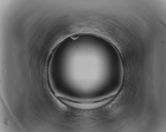 X0000096391525200801311310