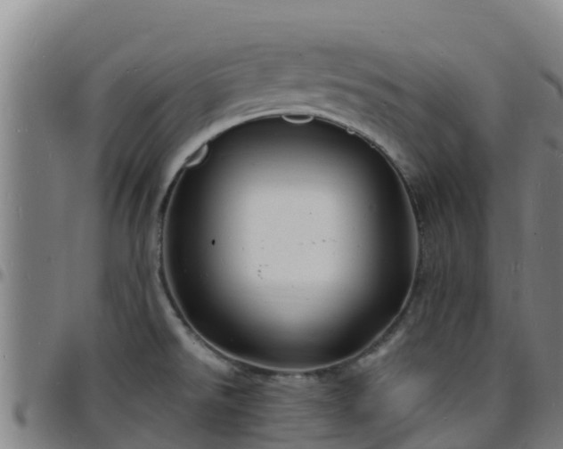 X0000096391526200801311310