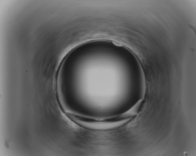 X0000096391527200801311310