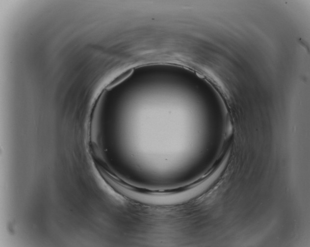 X0000096391528200801311310