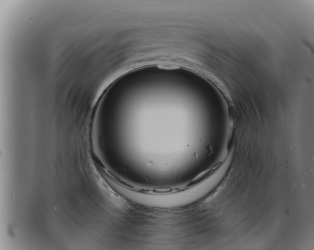 X0000096391530200801311310