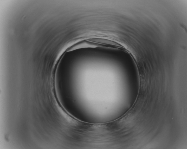 X0000096391531200801311310