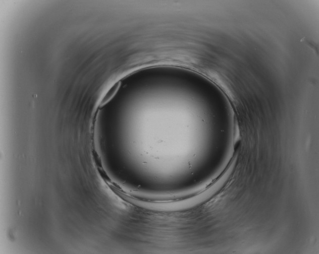 X0000096391532200801311310