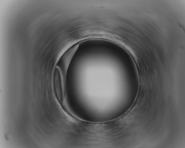 X0000096391533200801311310