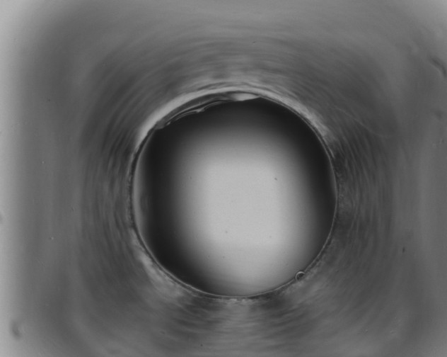 X0000096391534200801311310