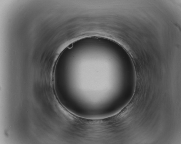 X0000096391535200801311310