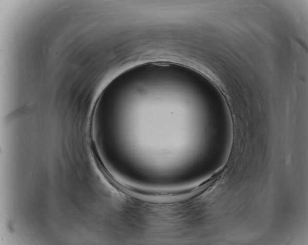 X0000096391536200801311310