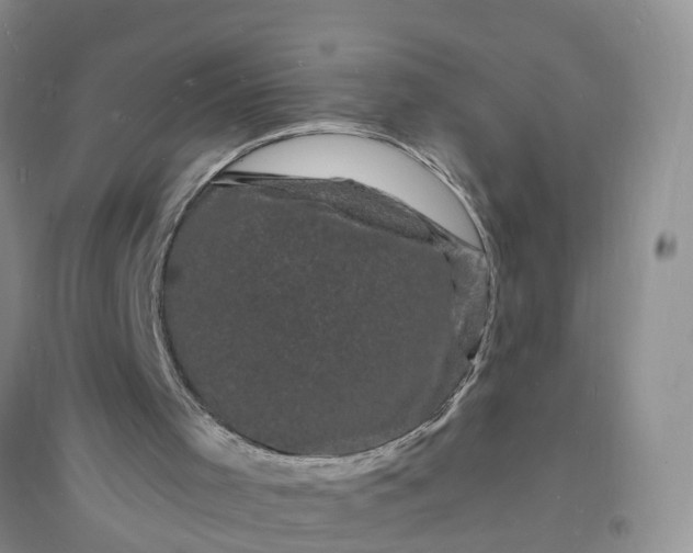 X0000096390001200802071548
