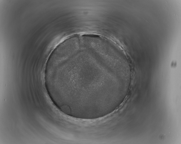 X0000096390002200802071548