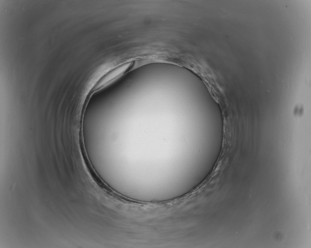 X0000096390003200802071548