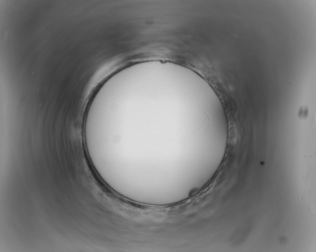 X0000096390004200802071548