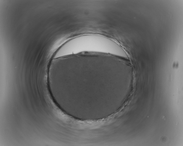 X0000096390005200802071548