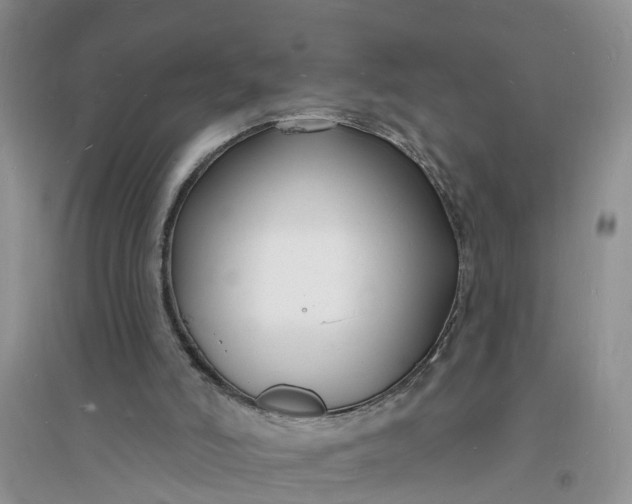 X0000096390006200802071548