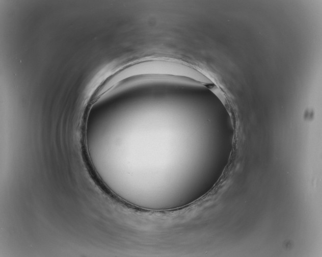 X0000096390007200802071548