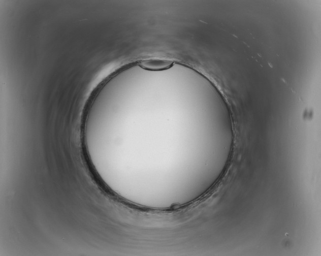 X0000096390008200802071548