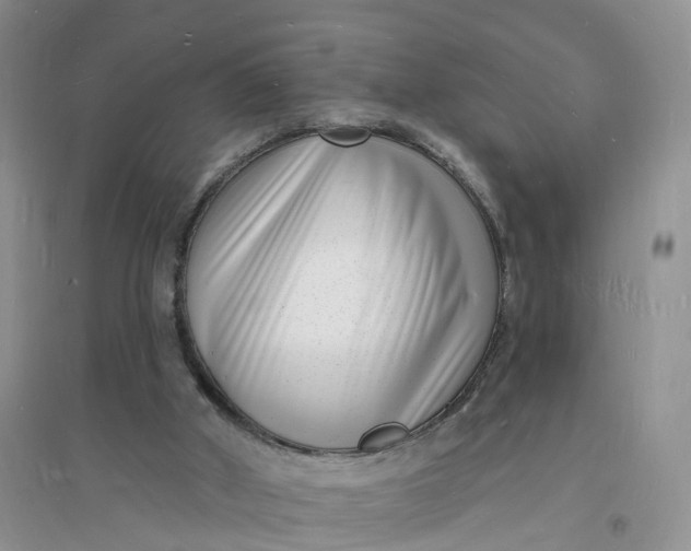 X0000096390010200802071548