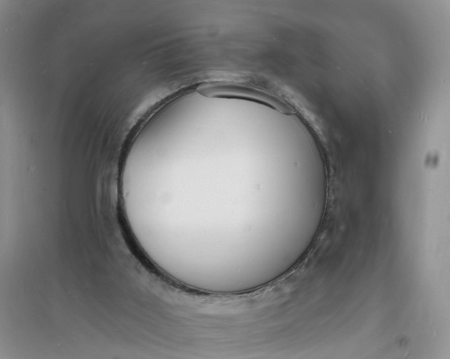 X0000096390011200802071548