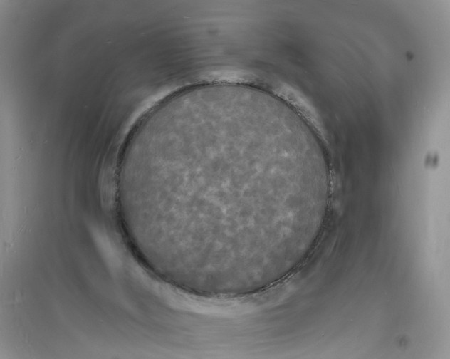 X0000096390012200802071548