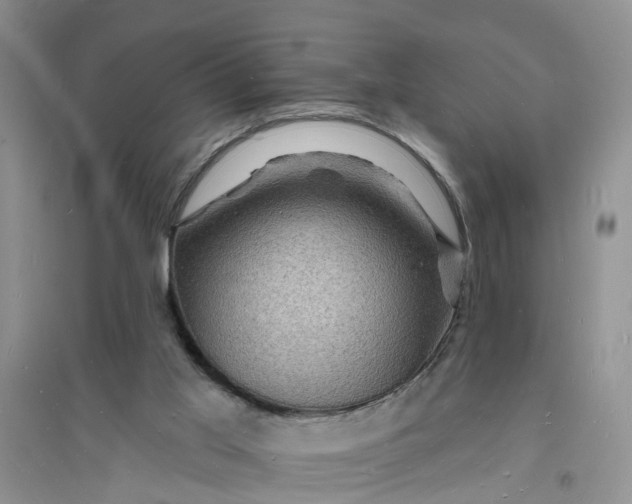X0000096390013200802071548