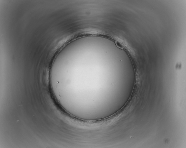 X0000096390014200802071548