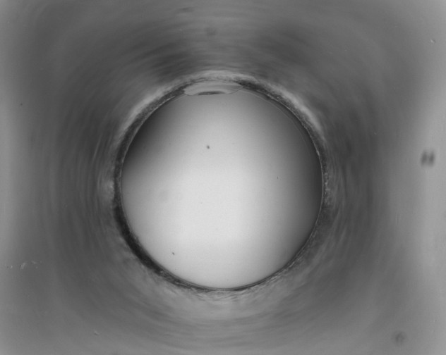 X0000096390015200802071548