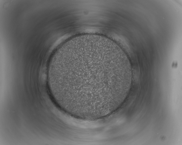 X0000096390016200802071548