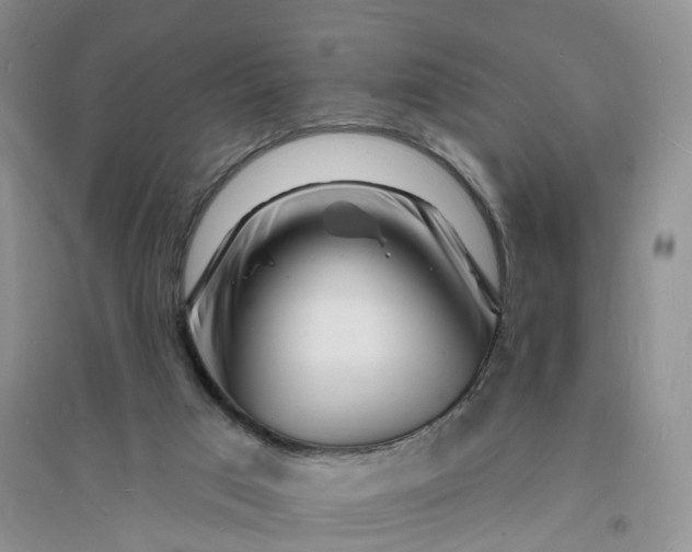 X0000096390017200802071548