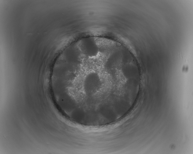 X0000096390018200802071548