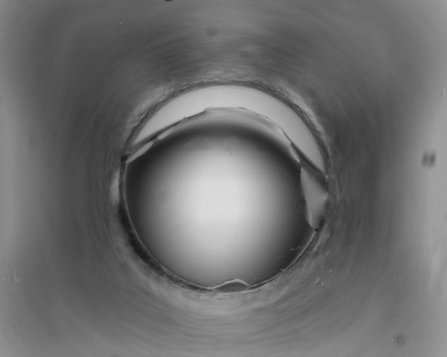X0000096390019200802071548