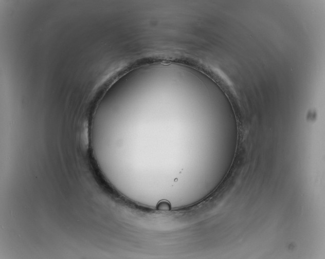 X0000096390020200802071548