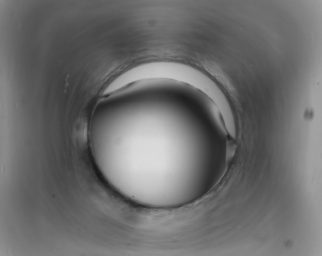 X0000096390021200802071548