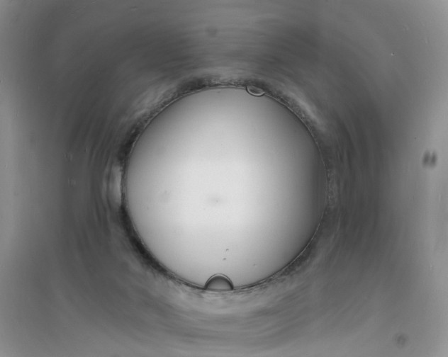 X0000096390022200802071548
