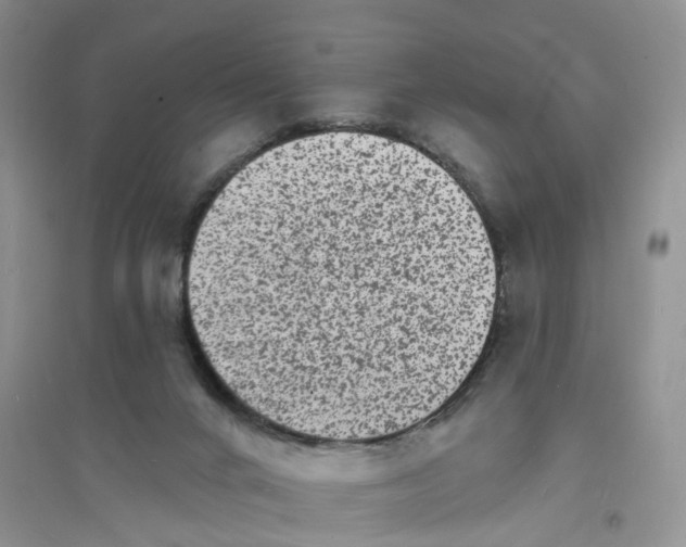 X0000096390024200802071548