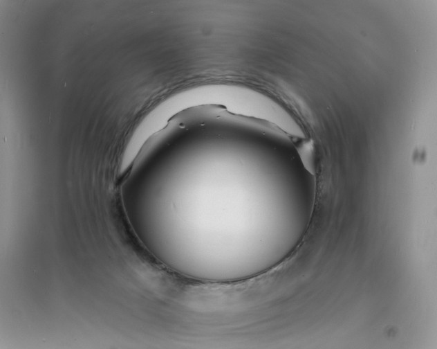 X0000096390025200802071548