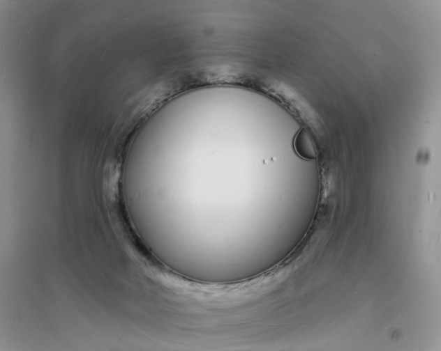 X0000096390026200802071548