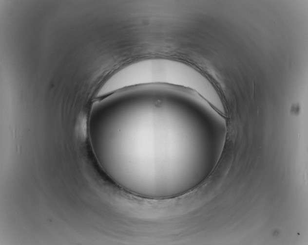 X0000096390027200802071548