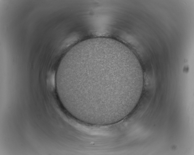 X0000096390028200802071548
