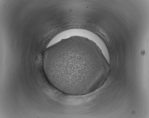 X0000096390029200802071548