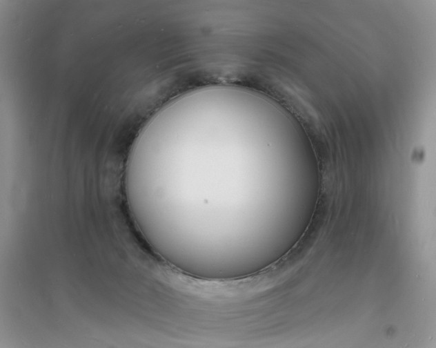 X0000096390030200802071548