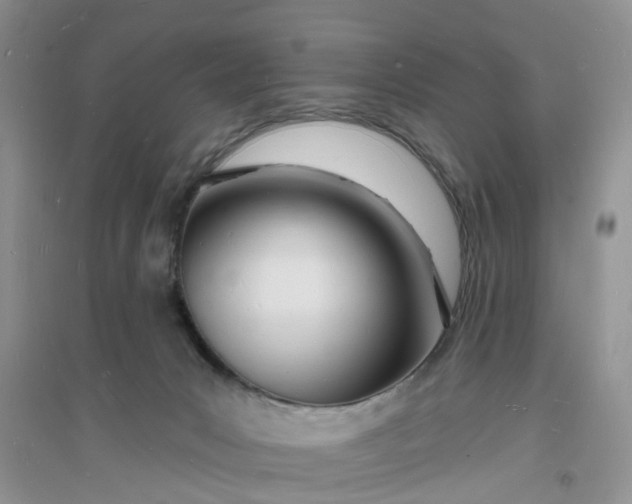 X0000096390031200802071548