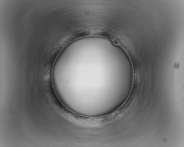 X0000096390032200802071548