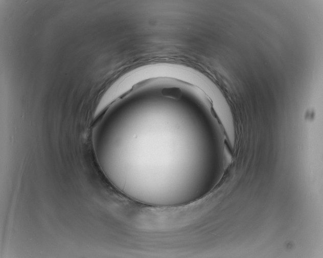 X0000096390033200802071548