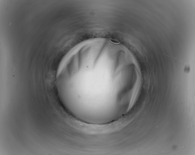 X0000096390034200802071548